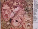 ACCIDENTAL SUICIDE -Deceased LP 1992 MINT terrorizer