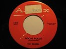 Rockabilly 45 RAIDERS on ANDEX Hocus Pocus HEAR