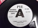 PYE PROMO THE RIOT SQUAD I TAKE IT THAT WERE THROUGH