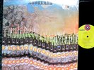 ACCOLADE selftitled orig. psych,folk,prog lp, rare-Mint