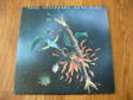 NONO SODERBERG Rare Bird lp Finland