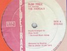 THE RADICALS RUM TREE blue trac listen