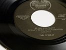 Stevie Ray Vaughan - The Cobras - 7