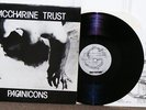 Saccharine Trust Pagan Icons 1st Iss MiniLP SST TopCond