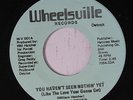 WILL HATCHER: You Haven't Seen Nothin' Yet / Ain't That Loving You 45 (light bl