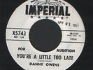 Danny Owens - you're a little too late - Rare Listen