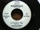 SOUL 45  DAVID & RUBEN  It Hurts Me  CLICK TO HEAR