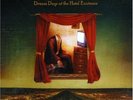 POWDERFINGER - Dream days at the Hotel Existence VINYL