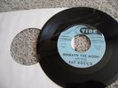 45 RARE TIDE PAT ROCCO BEANEATH THE MOON TOO DARN HOT 