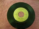 The Shandells-Mary Mary- RARE GARAGE PUNK- sizzle 5130