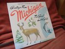 Sufjan Stevens - Michigan 2LP Vinyl US PRESS
