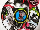 RARE Yeah Yeah Yeahs LP Fever To Tell picture disc