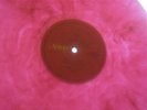 AC/DC - TNT  , Pink marble Vinyl LP