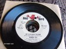 SOUL 45 RODDIE JOY RED BIRD 031 DJ PROMO