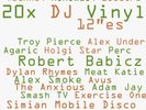 20x DJ vinyl 12