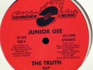 JUNIOR GEE The Truth ELECTRO RAP 12