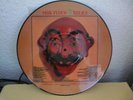 rare Pink Floyd Pic LP: Relics