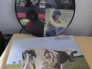 rare Pink Floyd Pic LP: Atom Heart Mother in Pic Sleeve