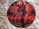 MICHAEL JACKSON---BLOOD ON THE DANCE FLOOR Picture LP