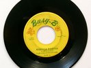 Gaunga Dyns - Rebecca Rodifer - Busy-B Zap 2