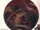 WARREN ZEVON Werewolves Of London PICTURE DISC DJ ONLY