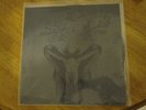 Rare Deerhunter Turn It Up F*gg*t debut record