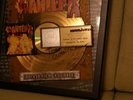 Pantera RIAA Gold Record - Reinventing the Steel