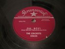 THE CRICKETS - OH BOY - NOT FADE AWAY - BUDDY HOLLY