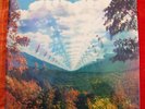 TAME IMPALA INNERSPEAKER VINYL LP 45 RPM DUNGEN- SEALED