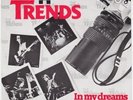 TRENDS In My Dreams RARE M- dutch powerpop 7