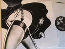 Frank Zappa Anyway The Wind Blows 2 LP set NM+ Rare