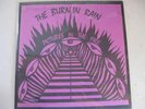 Burnin` Rain - Pictures in the fire LP ROCKADELIC inser