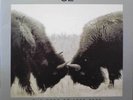 U2 Best of 1990 - 2000 LP gatefold RARE UK import NM