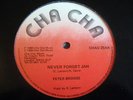 Peter Broggs Never Forget Jah Mint Rare Uk Stepper