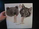 READING RAINBOW - Mystical Participation  best coast