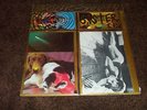 SONIC YOUTH SISTER VINYL ALBUM SST ORIGINAL COVER