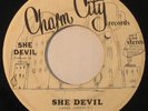 SHE DEVIL She Devil RARE DEEP DISCO/FUNK/BREAKS 45 mp3