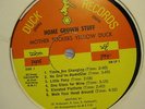 Mother Tuckers Yellow Duck Home Grown Stuff LP on DUCK