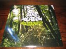 Dead Meadow Old Growth 2xLP  kyuss times new viking
