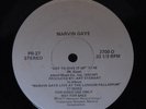 MARVIN GAYE - Got To Give it Up RARE promo 12