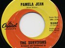THE SURVIVORS Pamela Jean/After The Game ROCK 45 RPM