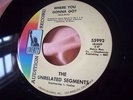 NM USA 45 - THE UNRELATED SEGMENTS - WHERE YOU GONNA GO