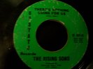 The Rising Sons- Very Rare Garage Band 45 RAVEN 1966