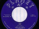 Malibu's-Cry on Planet '66 RI Punk off BFTG MINT HEAR