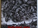 DESTRÖYER 666 - To The Devil His Due LP DIE HARD yellow