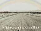 Vincent Gallo When LP Warp Limited  RARE