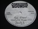 KING GENERAL MONEY RUN TINGS CONSCIOUS SOUNDS 10