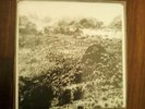 Gehenna Lands Of Sodom Integrity Cursed Catharsis