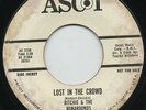 HEAR-Rare Doo Wop 45-Ritchie & Runarounds-Lost In Crowd