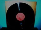 DOHTERS  self titled  LP  private real people girl folk